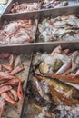 Crushed ice and fish on Greek island Kalymnos Royalty Free Stock Photo