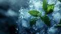 crushed ice glimmering, mint leaves curling, sharp chill atmosphere. Royalty Free Stock Photo
