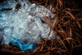 Crushed plastic bottles of mineral water and bottle caps on green grass in nature Royalty Free Stock Photo