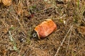 Crushed rusty aluminum can lying on ground in forest Royalty Free Stock Photo