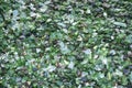 Crushed small pieces of glass are gathered for recycling in a machine in a recycling facility. Royalty Free Stock Photo