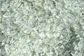 Crushed small pieces of glass are gathered for recycling in a machine in a recycling facility. Royalty Free Stock Photo