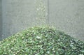 Crushed small pieces of glass are gathered for recycling in a machine in a recycling facility. Royalty Free Stock Photo