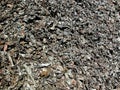 Crushed steel scrap metal