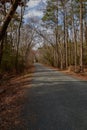 Crushed Stone Path Along Junction & Breakwater Trail, Cape Henlopen's State Park, Lewes, DE