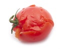 Crushed tomato Royalty Free Stock Photo