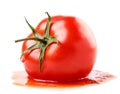 Crushed tomato in juice close-up on a white background. Isolated Royalty Free Stock Photo