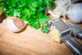 Crushing garlic to add to the dish. Whole and chopped garlic on a cutting Board made from natural oak. Fresh parsley. Royalty Free Stock Photo