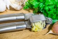 Crushing garlic to add to the dish. Whole and chopped garlic on a cutting Board made from natural oak. Fresh parsley. Royalty Free Stock Photo