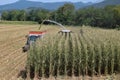 Crushing and maceration of wheat to make bio gas in the Brescia Royalty Free Stock Photo