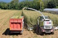 Crushing and maceration of wheat to make bio gas in the Brescia Royalty Free Stock Photo