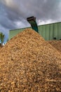 Crushing machine of wood and logs to process waste and transform into pellets Royalty Free Stock Photo