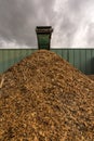 Crushing machine of wood and logs to process waste and transform into pellets Royalty Free Stock Photo