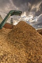 Crushing machine of wood and logs to process waste and transform into pellets Royalty Free Stock Photo