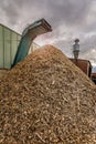 Crushing machine of wood and logs to process waste and transform into pellets Royalty Free Stock Photo