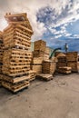 Crushing machine of wood and logs to process waste and transform into pellets Royalty Free Stock Photo