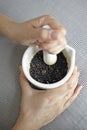 Crushing pepper with mortar and pestle Royalty Free Stock Photo