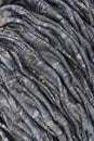 The crust of cooled and solidified lava Royalty Free Stock Photo