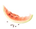 Crust of an eaten watermelon slice Royalty Free Stock Photo