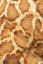 Crust on a giraffe bloomer loaf of bread background backdrop. Royalty Free Stock Photo