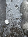 A crust of ice on a frozen puddle as an abstract background Royalty Free Stock Photo