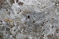 Crust of ice on a puddle of leaves Royalty Free Stock Photo