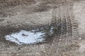 Crust of ice on a puddle of leaves Royalty Free Stock Photo