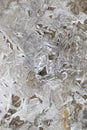 Crust of ice on a puddle of leaves Royalty Free Stock Photo