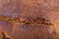 The crust of rye bread. Background Royalty Free Stock Photo