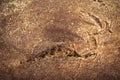 The crust of rye bread. Background. Toned Royalty Free Stock Photo