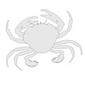 Crustacean animal - crab