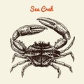 Crustacean crab with claws. River and lake or sea creature. Freshwater aquarium. Poster for the menu. Engraved hand