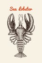 Crustacean lobster with claws. River and lake or sea creature. Freshwater aquarium. Poster for the menu. Engraved hand