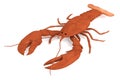 Crustacean - lobster