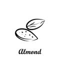 Crustaceans, fruit, almond icon. Element of Crustaceans icon. Hand drawn icon for website design and development, app development