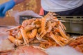 Crustaceans For Sale in a Fish Market Royalty Free Stock Photo