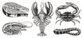 Crustaceans, shrimp, lobster or crayfish, salmon steak, crab with claws. River and lake or sea creatures. Freshwater