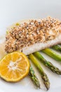 Crusted Mahi Mahi Royalty Free Stock Photo