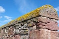 Crustose Lichen and Red Stone Wall Royalty Free Stock Photo