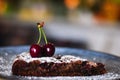 Crusty homemade cherry hazelnut pie or tart