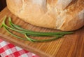 Crusty loaf at top view are on a wood table with green onion