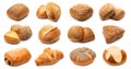 Crusty rolls - various sorts isolated