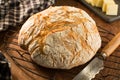 Crusty round loaf of french bread on cooling rack Royalty Free Stock Photo