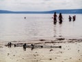 Crutches on a sand by water. People silhouettes in water, Selective focus. Concept healthcare, Water recovery procedure