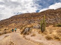 Cruz del Condor, Colca canyon, Peru Royalty Free Stock Photo