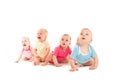 Crying babies isolated Royalty Free Stock Photo
