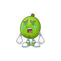 Crying casimiroa fruit cartoon character with mascot