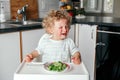 Crying Caucasian kid boy sitting in high chair with broccoli on plate. Child refusing eat healthy food. Toddler screaming in Royalty Free Stock Photo