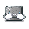 Crying character ctrl button attached on computer