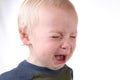 Crying Frustrated Little Boy on White Royalty Free Stock Photo